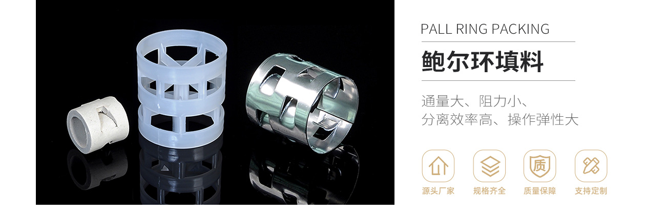 鮑爾環1300_01.jpg