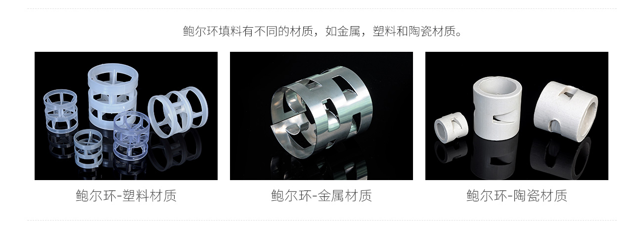 鮑爾環1300_02.jpg