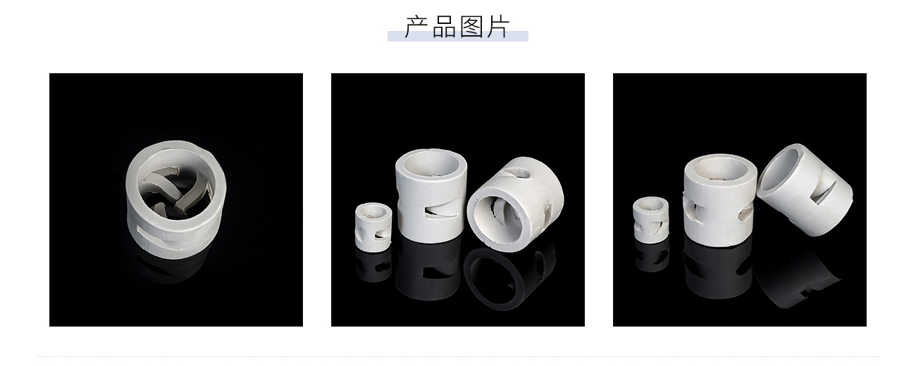 陶瓷鮑爾環1300_04.jpg